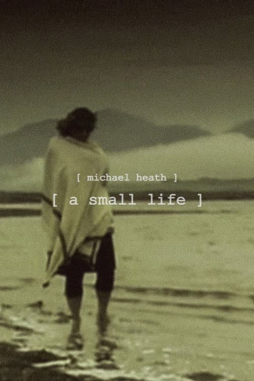 Постер: A Small Life