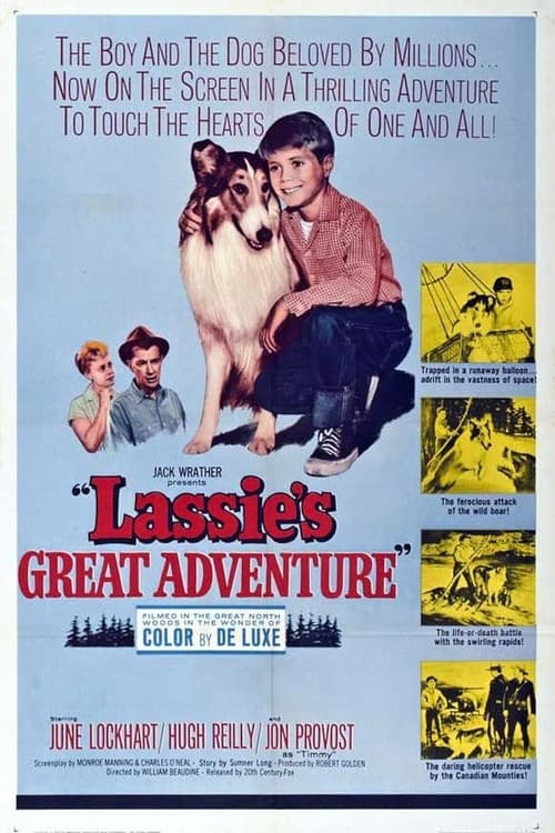 Постер: Lassie's Greatest Adventure