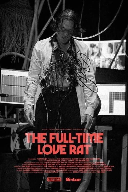 Постер: The Full-Time Love Rat