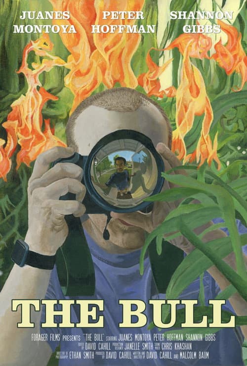Постер: The Bull