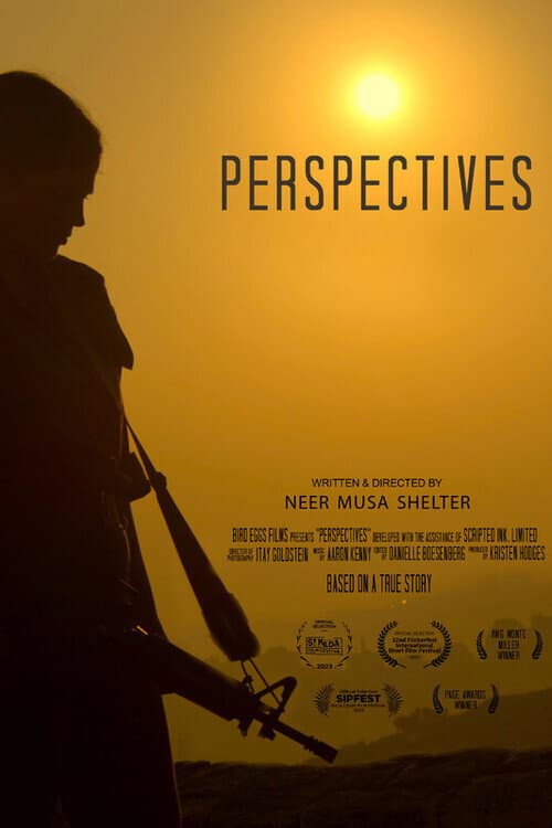 Постер: Perspectives