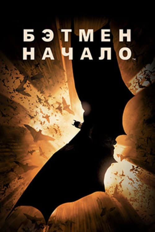 Кадр 17
