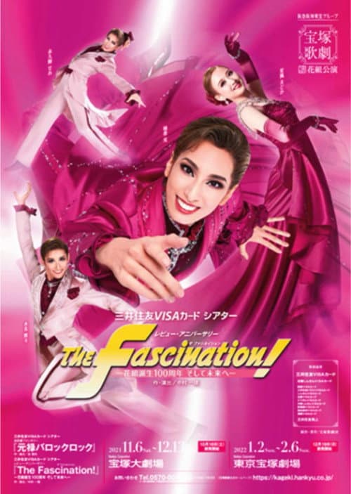 Постер: The Fascination