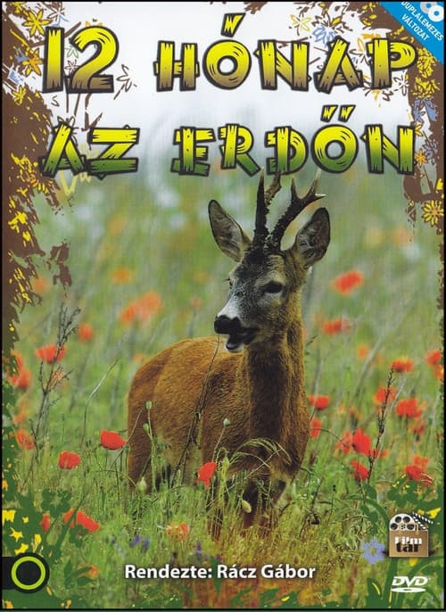 Постер: 12 hónap az erdőn