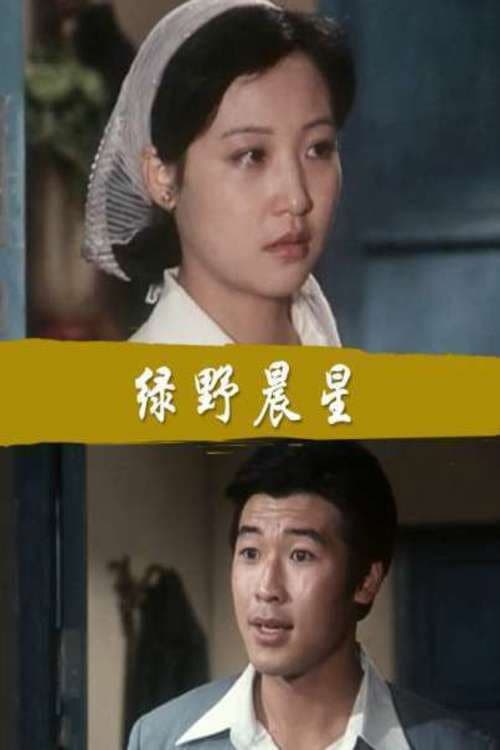 Постер: 绿野晨星
