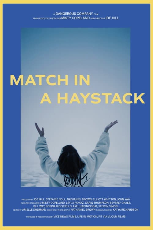 Постер: Match in a Haystack