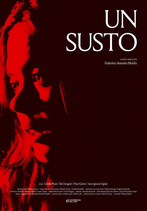 Постер: Un susto
