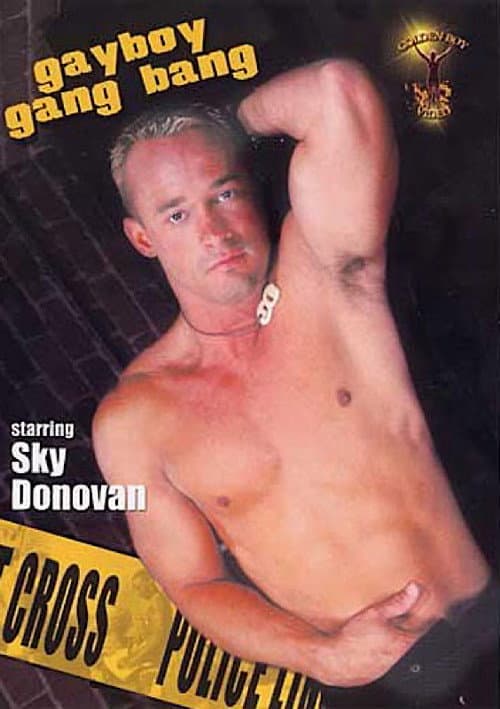 Постер: Gayboy Gang Bang