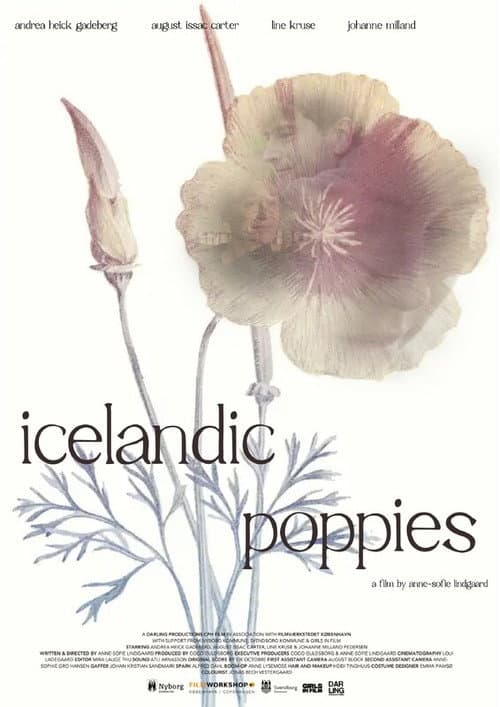 Постер: Icelandic Poppies
