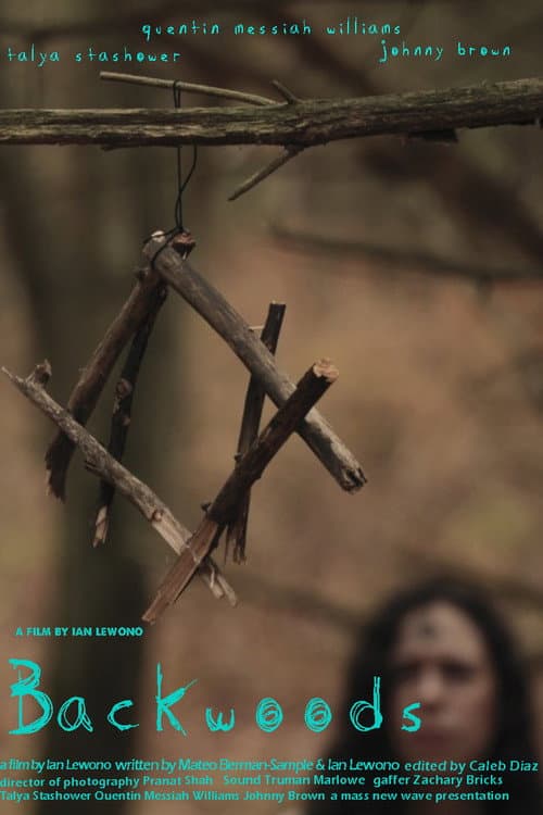 Постер: Backwoods