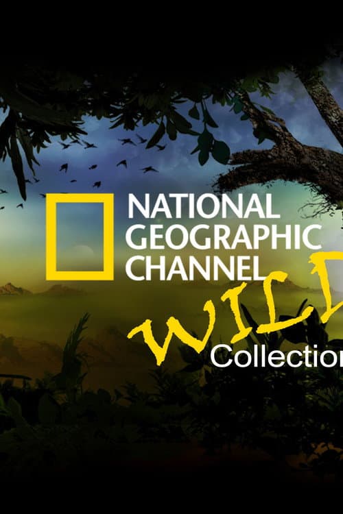 Постер: National Geographic Channel: Wild