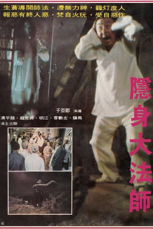 Постер: 隱身大法師