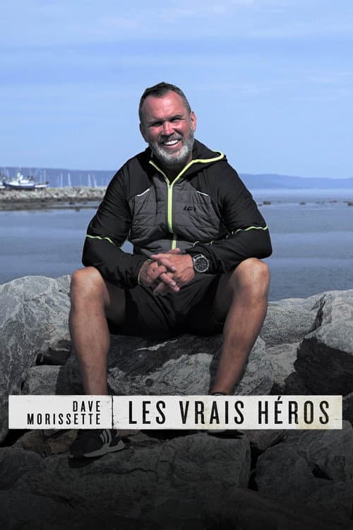 Постер: Dave Morissette - Les vrais héros
