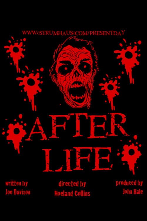Постер: Afterlife