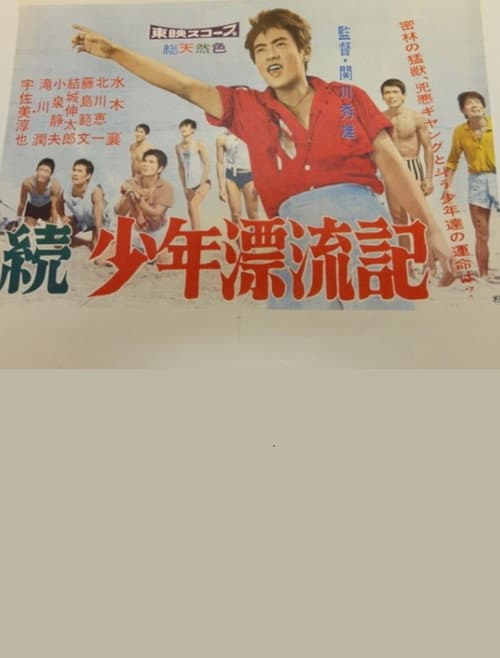 Постер: 続少年漂流記