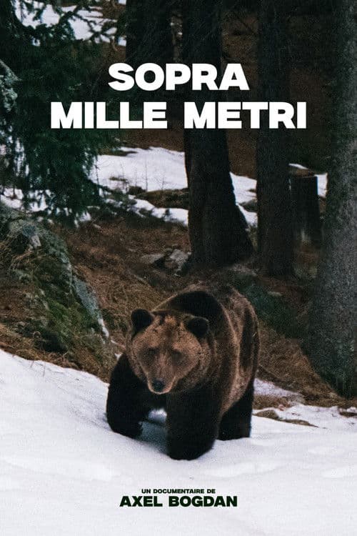 Постер: Sopra Mille Metri
