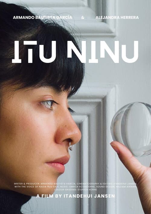 Постер: Itu Ninu