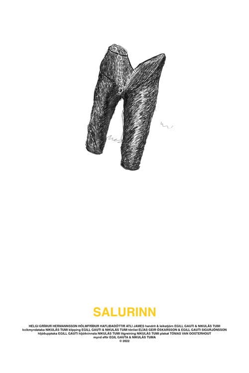 Постер: Salurinn