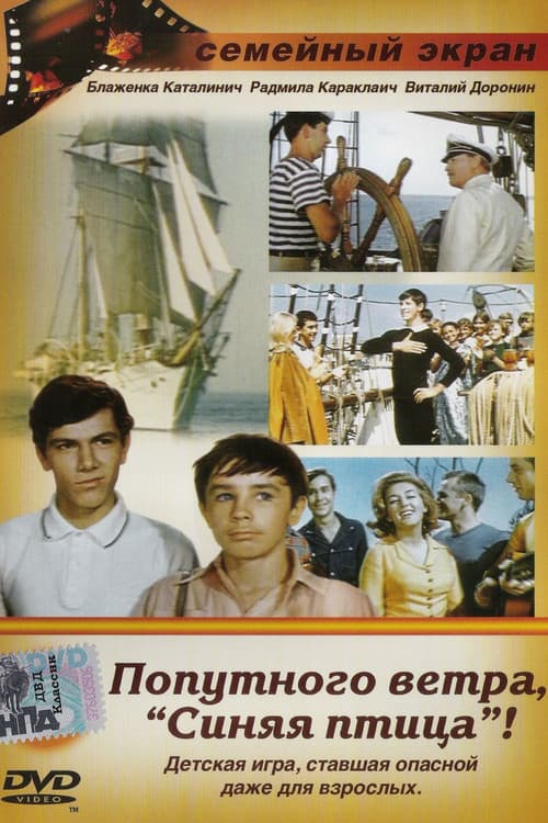 Кадр 3
