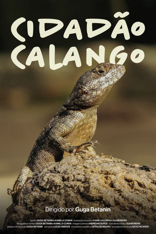 Постер: Cidadão Calango