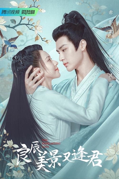 Постер: 良辰美景又逢君