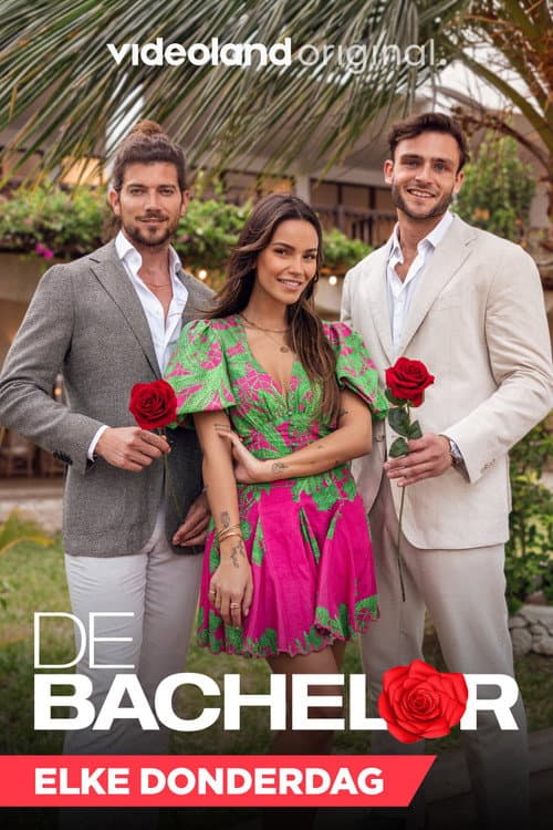Постер: De Bachelor