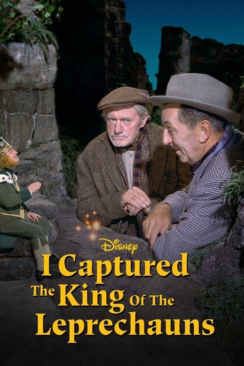 Постер: I Captured the King of the Leprechauns
