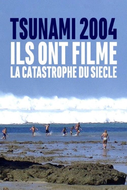 Постер: Tsunami 2004 : ils ont filmé la catastrophe du siècle