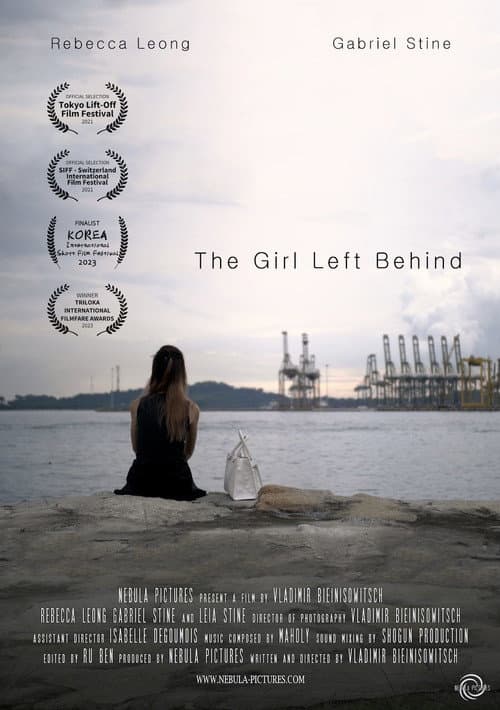 Постер: The Girl Left Behind