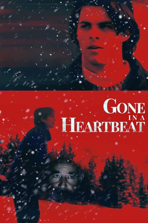 Постер: Gone in a Heartbeat