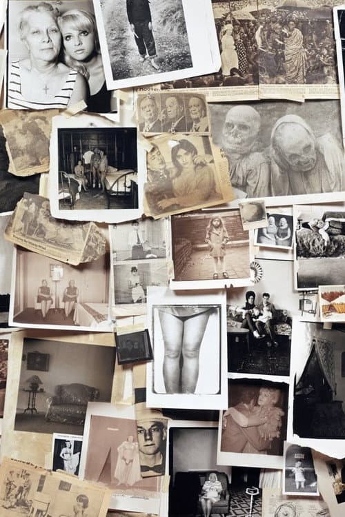 Постер: A Slide Show and Talk by Diane Arbus