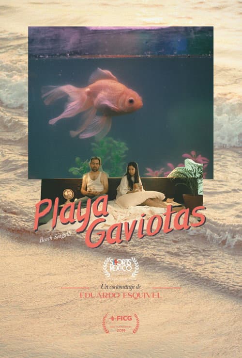 Постер: Playa Gaviotas