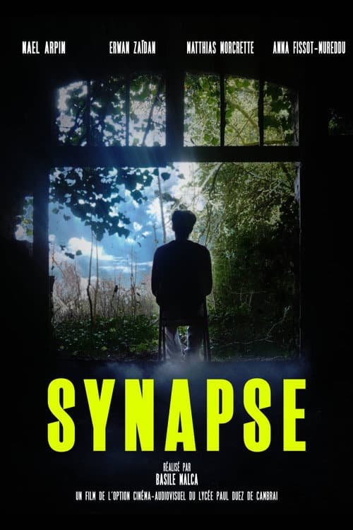 Постер: Synapse