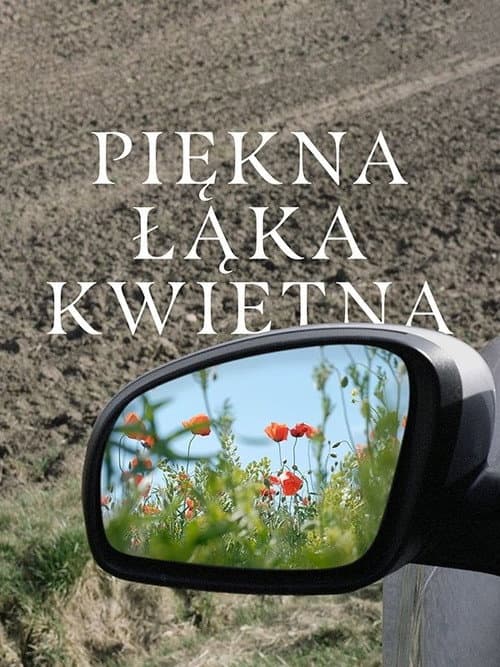 Постер: Piękna łąka kwietna
