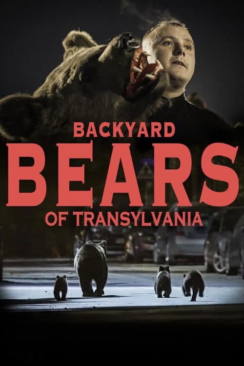 Постер: Bärenalarm in Transsilvanien