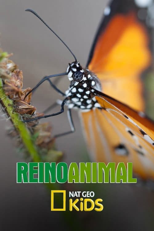 Постер: Reino Animal