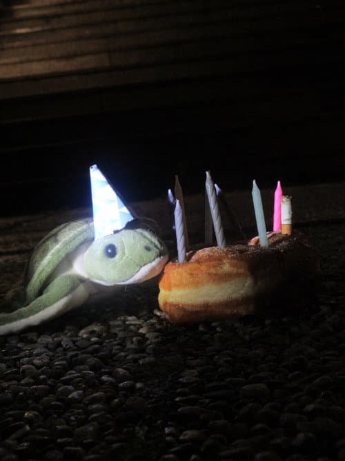 Постер: Donut Do It!