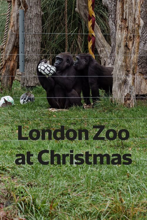 Постер: London Zoo at Christmas