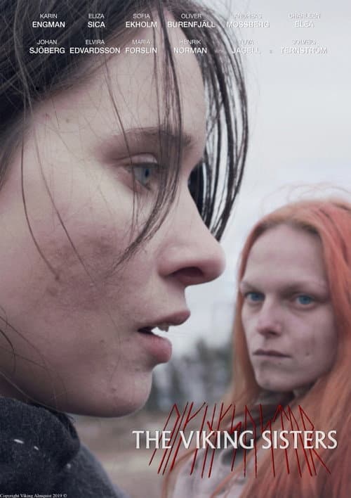 Постер: Vikingasystrar
