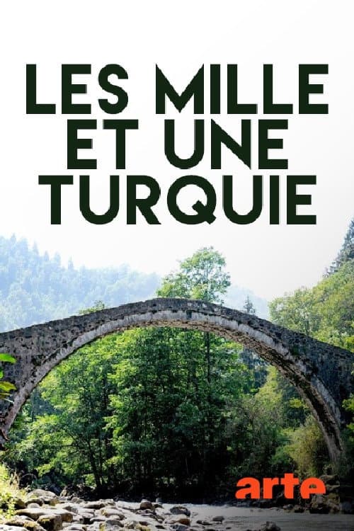 Постер: Abenteuer Türkei