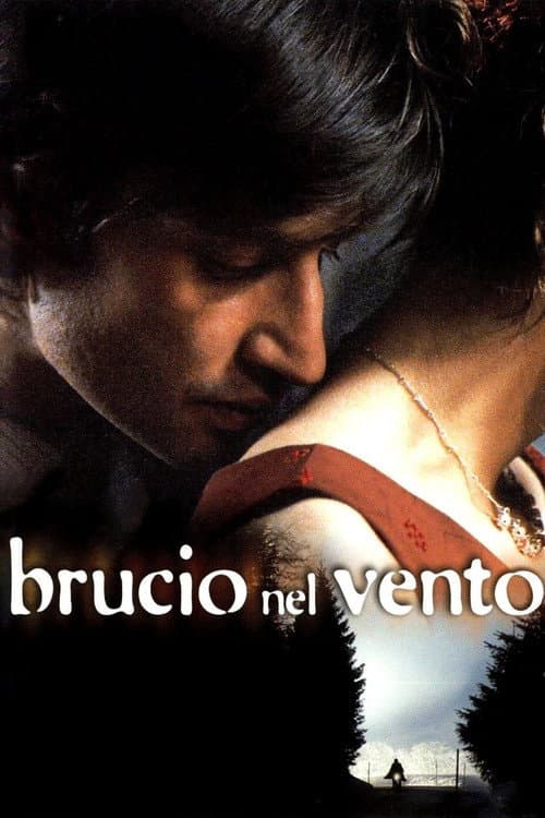Постер: Brucio nel vento