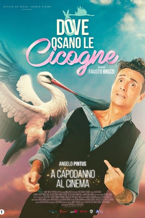 Постер: Dove osano le cicogne