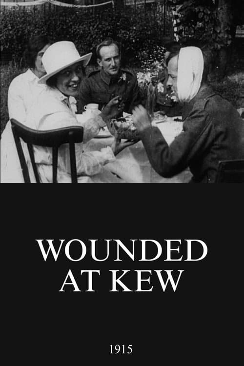 Постер: Wounded at Kew