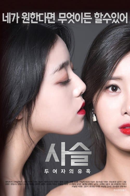 Постер: 사슬-두여자의유혹