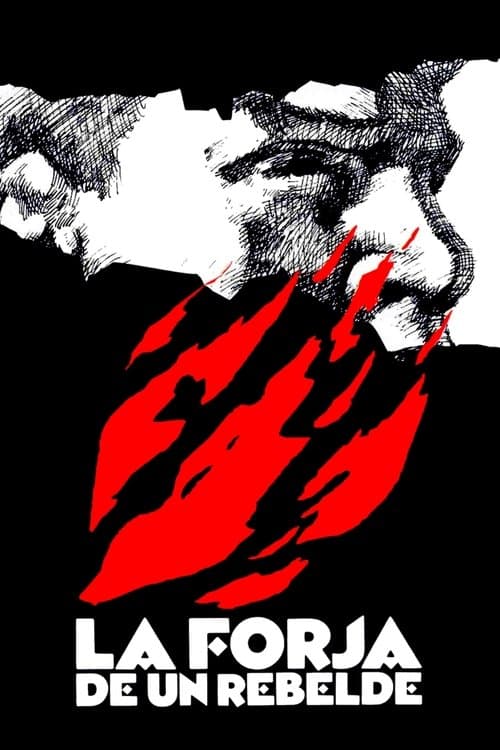 Постер: La forja de un rebelde
