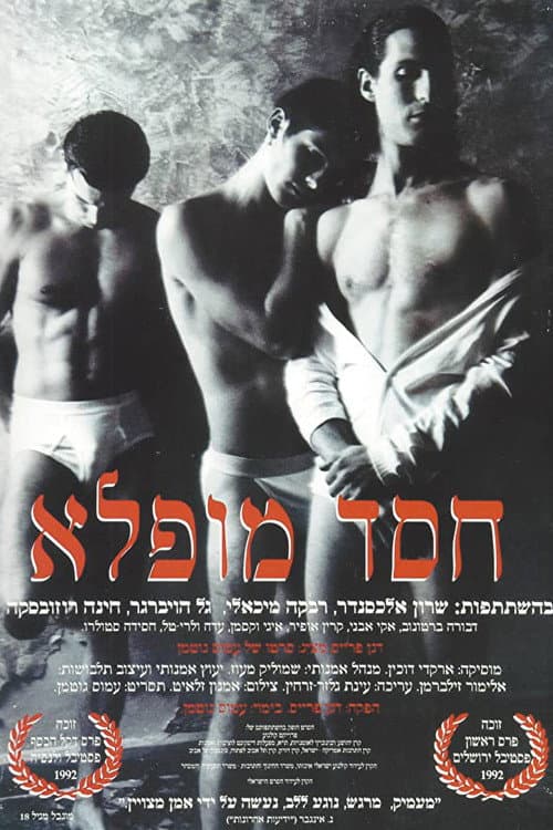 Постер: חסד מופלא