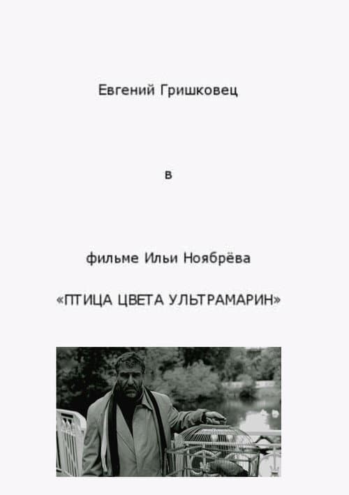 Постер: Птица цвета ультрамарин