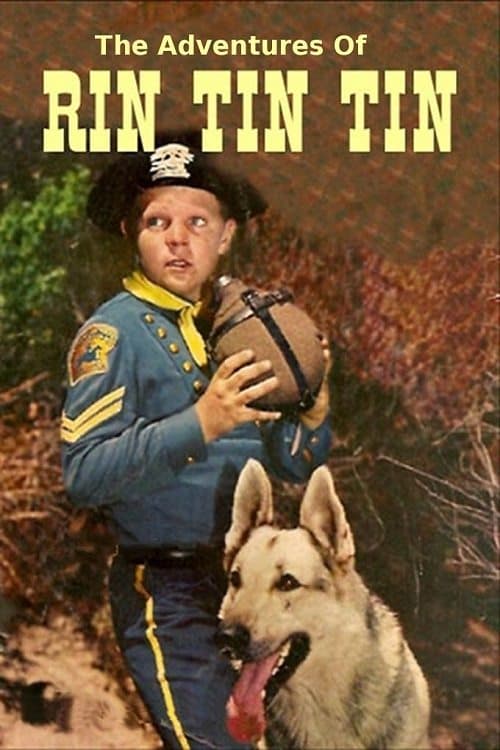 Постер: The Adventures of Rin Tin Tin