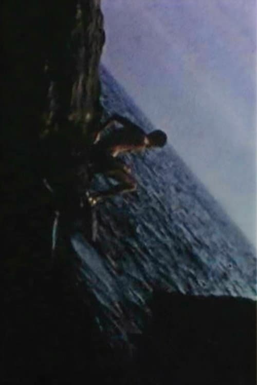 Постер: The Last Summer
