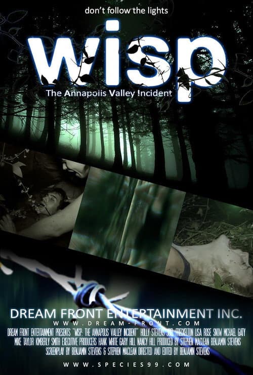 Постер: Wisp